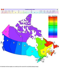 Platos de Almuerzo Cuadrados Dora y Amigos - 8 Piezas 2