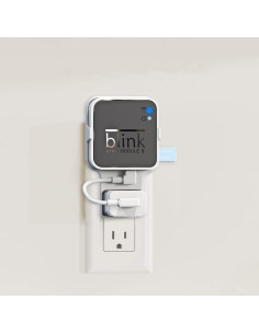 Unidad Flash USB 256GB Tizomi para Módulo Blink 2 2