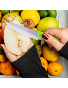 Juego de Cuchillos de Pelar EANINNO 10.16 cm Acero Inoxidable 2