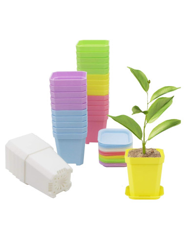 30 Macetas Cuadradas de Vivero Foxany 7.6 cm Coloridas