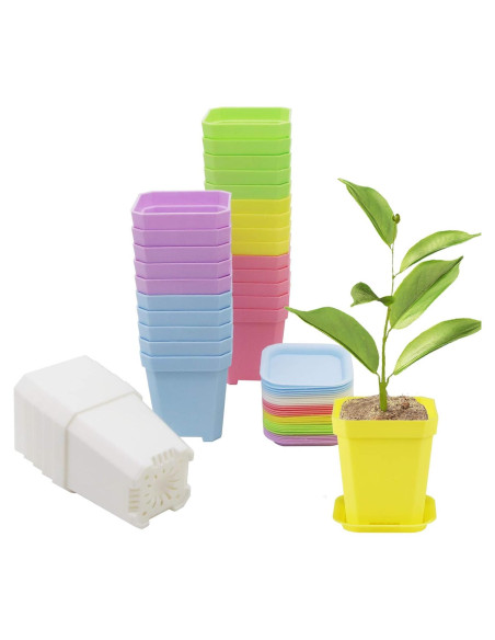 30 Macetas Cuadradas de Vivero Foxany 7.6 cm Coloridas