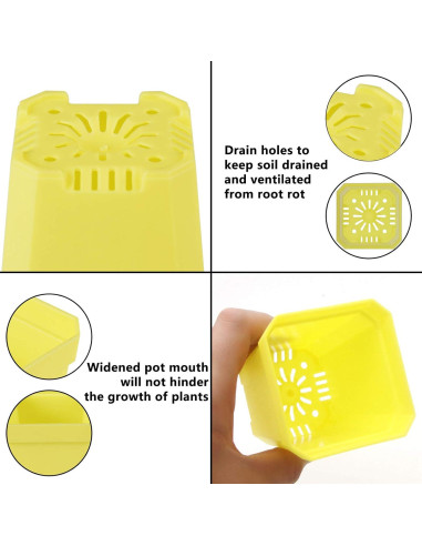 30 Macetas Cuadradas de Vivero Foxany 7.6 cm Coloridas