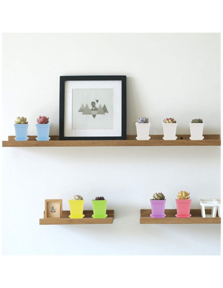 30 Macetas Cuadradas de Vivero Foxany 7.6 cm Coloridas