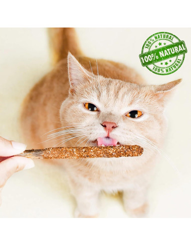 Palitos Masticables para Gatos Maiguangta 12 Piezas 100% Naturales