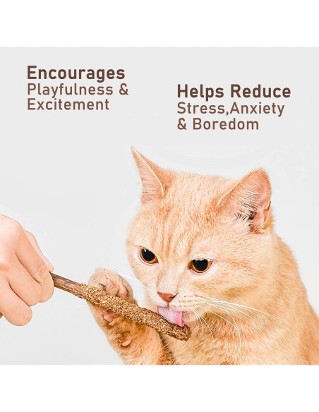 Palitos Masticables para Gatos Maiguangta 12 Piezas 100% Naturales Palitos Masticables para Gatos Maiguangta 12 Piezas 100% Naturales