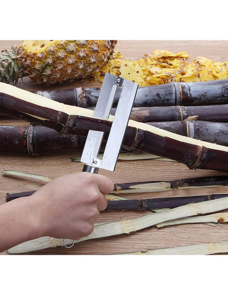 Cuchillo de Acero Inoxidable Jwthee para Pelar Frutas Duras
