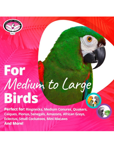 Juguete para Aves Super Bird Creations Screwball SB1215 - Interactivo para Loros Grandes