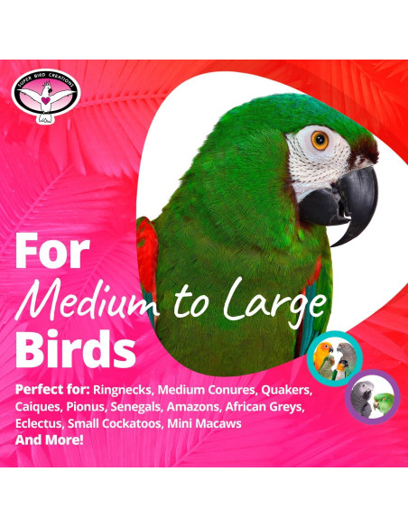 Juguete para Aves Super Bird Creations Screwball SB1215 - Interactivo para Loros Grandes