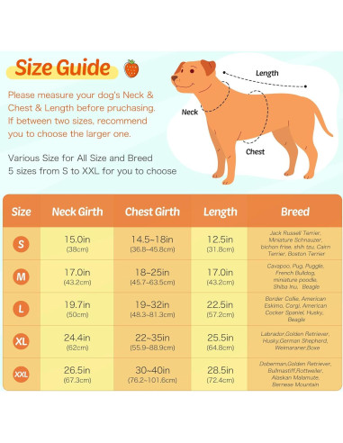 Abrigo de Lluvia Impermeable Weesiber para Perros Grandes - Frutas Amarillo