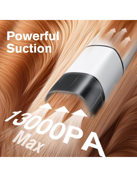 Aspiradora de Peluquería para Perros Petaboo 5 en 1, 2.2L