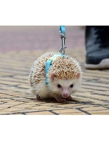 Arnés Ajustable para Erizos Hokmly con Cuerda de Tracción Azul