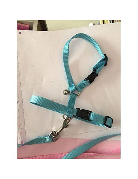 Arnés Ajustable para Erizos Hokmly con Cuerda de Tracción Azul