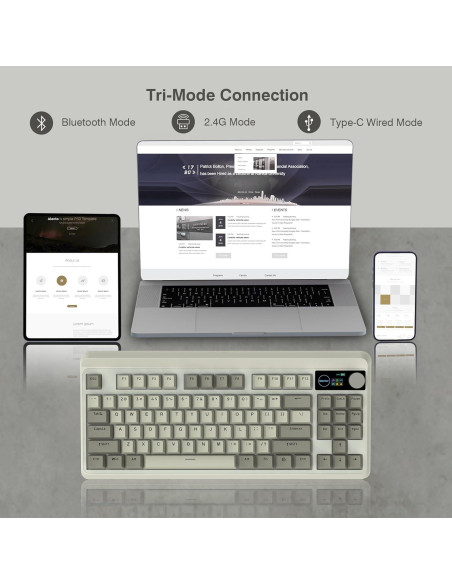 Teclado Gaming Womier M87 Pro Inalámbrico RGB 75% OLED