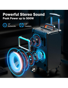 Altavoz Karaoke JYX AN20 10" Bluetooth 500W 2 Micrófonos 2