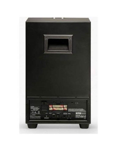 Cajón Electrónico Roland EC-10 Híbrido con Amplificador
