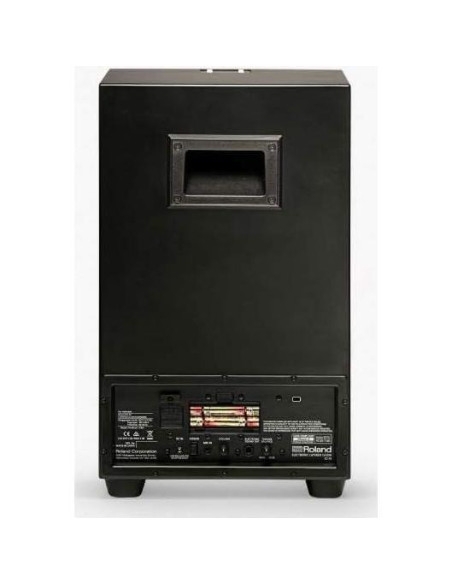 Cajón Electrónico Roland EC-10 Híbrido con Amplificador
