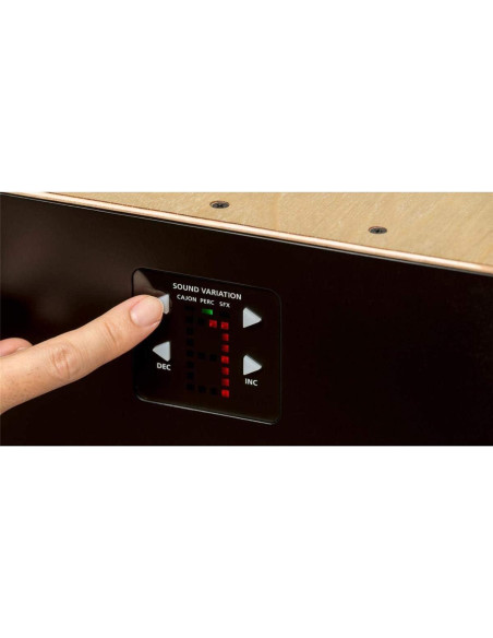 Cajón Electrónico Roland EC-10 Híbrido con Amplificador