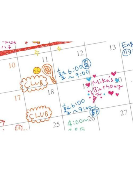 Bolígrafo de Gel Zebra Sarasa Push Clip 0.5 mm Set 10 Colores