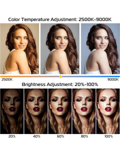 Rig de Video ULANZI U-Rig Light con Luz y Batería 5000mAh 2