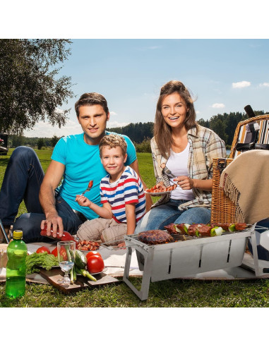 Parrilla de Carbón Plegable Fire Sense Acero Inoxidable 3,40 kg