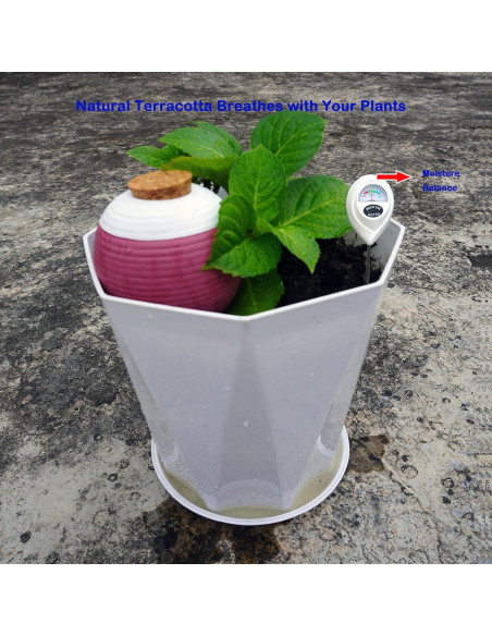 4 Picos de Riego de Terracota Autorriego 1.09 kg para Plantas