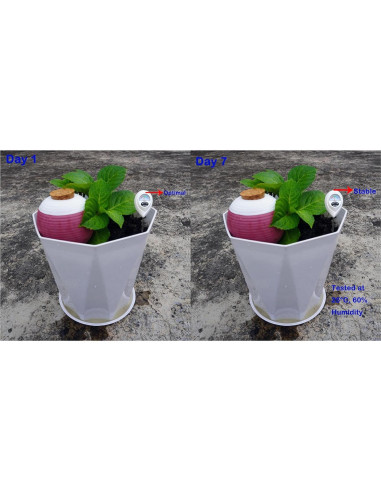 4 Picos de Riego de Terracota Autorriego 1.09 kg para Plantas