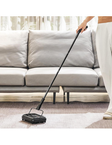 Barrendero Manual VEVOR para Alfombras - 0.82 kg, Negro