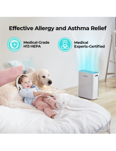 Purificador de Aire Homvana H211S HEPA para 116 m 2