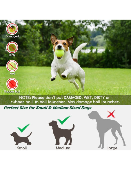 Lanzador de Pelotas WookYumy Verde con 6 Pelotas Mini Lanzador de Pelotas WookYumy Verde con 6 Pelotas Mini