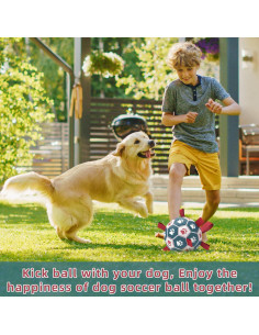 Pelota de Fútbol QDAN para Perros Medianos y Pequeños 2