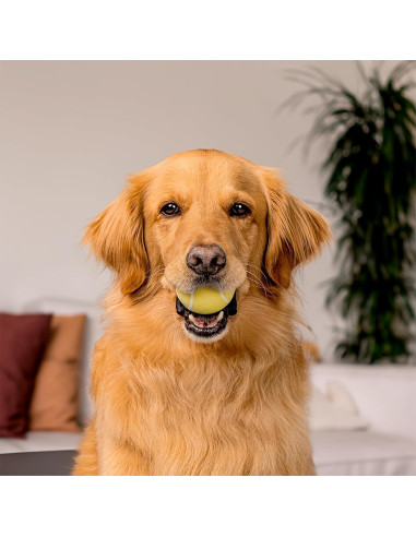 Pelota Masticable Playology Jumbo Aroma Pollo 22,68 kg