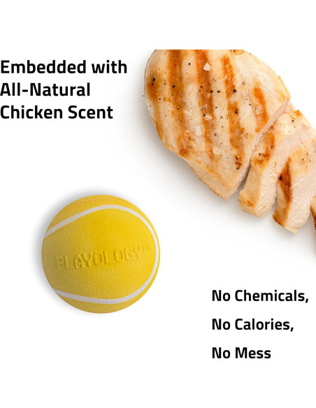 Pelota Masticable Playology Jumbo Aroma Pollo 22,68 kg