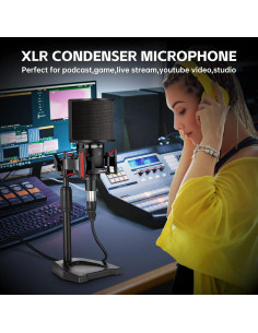 Micrófono de Condensador XLR PROAR con Soporte y Filtro 2