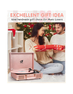 Reproductor de Vinilo Portátil DANFI AUDIO TE-001DRG Rosa Oro 2