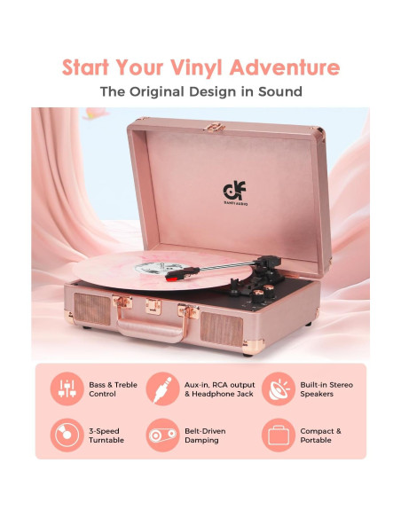 Reproductor de Vinilo Portátil DANFI AUDIO TE-001DRG Rosa Oro