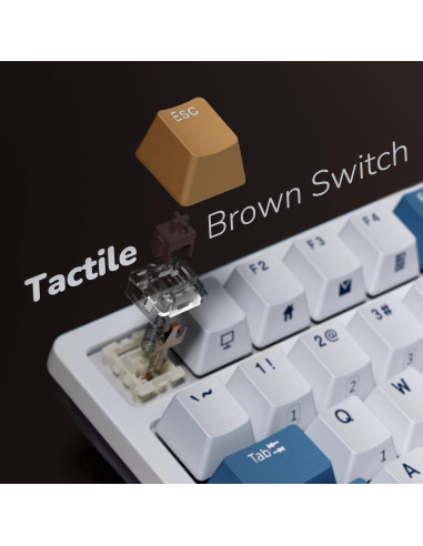 Teclado Mecánico RK ROYAL KLUDGE RK98 Inalámbrico RGB