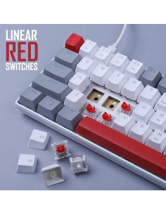 Teclado Mecánico Camiysn 61 Teclas Compacto Luz Azul 2