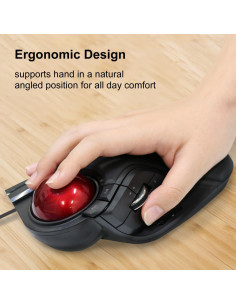 Mouse Trackball ELECOM M-HT1URBK Cableado 8 Botones 52mm 2