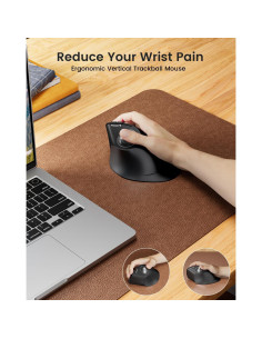 Ratón Trackball Inalámbrico Vertical ProtoArc EM05 NL Gris 2