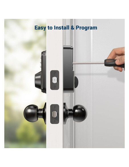 Cerradura Biométrica Veise KS02C con Teclado y 2 Perillas