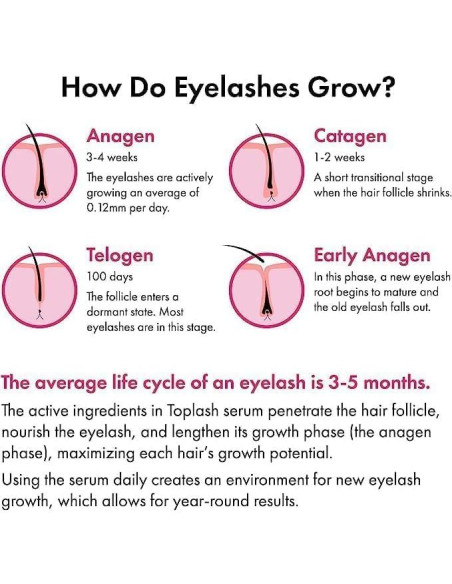 Suero Potenciador de Pestañas y Cejas Toplash 6 ml