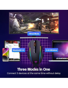 Raton Inalambrico RisoPhy 10000DPI RGB Ergonomico 2