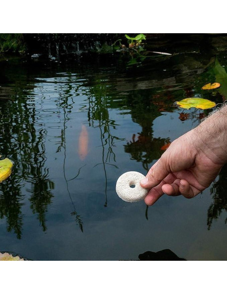 Paquete de 2 Dunks para Mosquitos Summit 0,09 kg