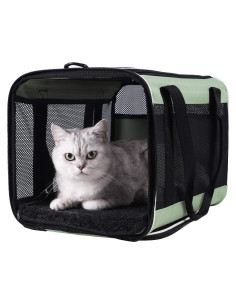 Transportín Petisfam Menta para Gatos y Perros Pequeños