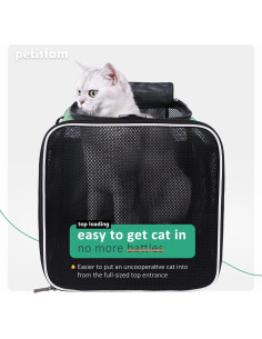 Transportín Petisfam Menta para Gatos y Perros Pequeños 2