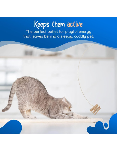 Juguete Interactivo para Gatos Cat Dancer 101 Seguro y Divertido Juguete Interactivo para Gatos Cat Dancer 101 Seguro y Divertido