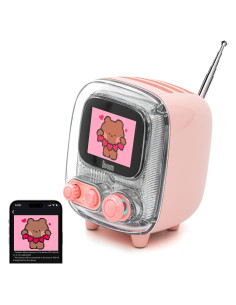 Divoom Tiivoo-2 Altavoz Bluetooth Retro Rosa con Radio FM