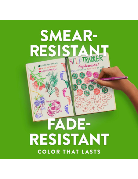 Bolígrafos de Punta de Fieltro Paper Mate Flair 24 Colores