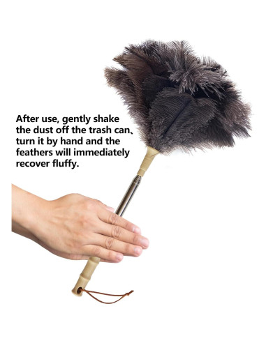 Duster de Plumas de Avestruz Aldwin Extensible 50.8-110.7 cm