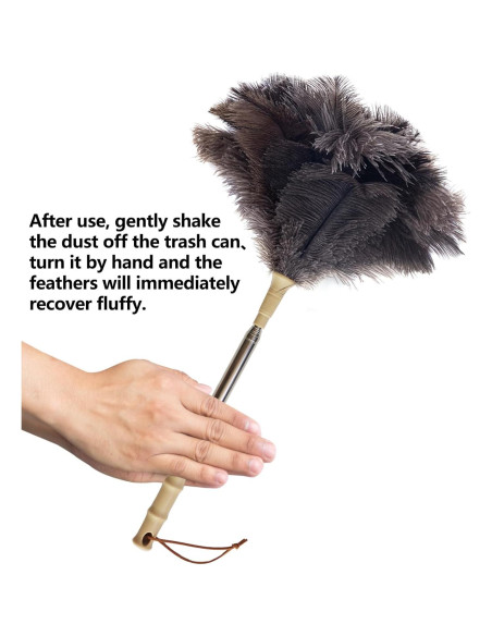 Duster de Plumas de Avestruz Aldwin Extensible 50.8-110.7 cm